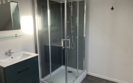 A Vendre Sermaises, Rare! Grande Maison 5 Chambres